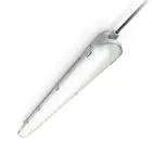 Philips LED Feuchtraumleuchte CoreLine WT120C G2 42.9W 6000lm - 840 Kaltweiß | 150cm 